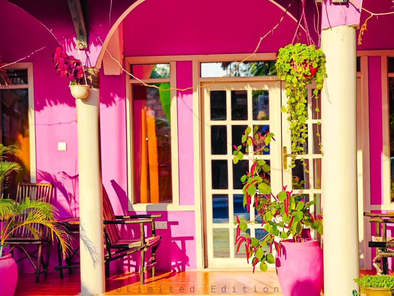 Nungwi Roses Villa Eksteriør billede